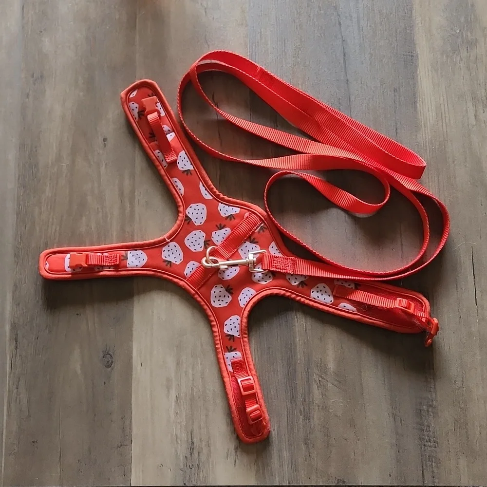 Lightly Used Strawberry Cat Harness With Leash Kitten Size